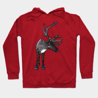 Santa Claus Reindeer Hoodie